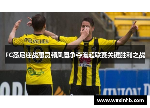 FC悉尼迎战惠灵顿凤凰争夺澳超联赛关键胜利之战