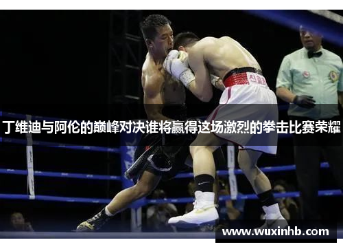 丁维迪与阿伦的巅峰对决谁将赢得这场激烈的拳击比赛荣耀